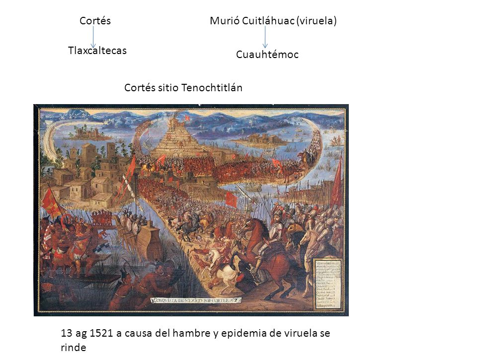 Cortés Murió Cuitláhuac (viruela) Tlaxcaltecas. Cuauhtémoc. Cortés sitio Tenochtitlán.