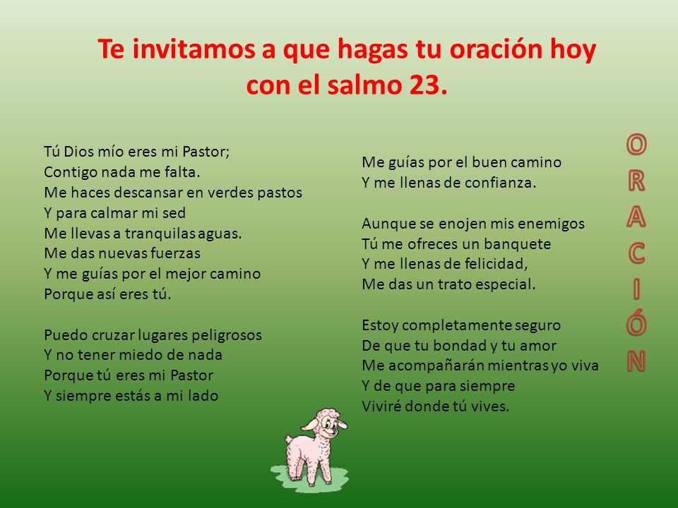 Te invitamos a que hagas tu oración hoy con el salmo 23.