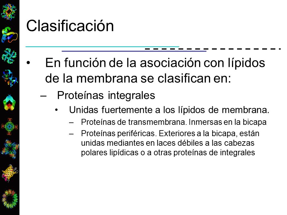 Clasificación En función de la asociación con lípidos de la membrana se clasifican en: Proteínas integrales.