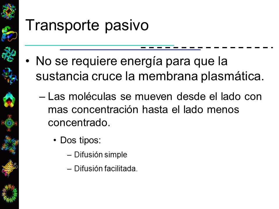 Transporte pasivo No se requiere energía para que la sustancia cruce la membrana plasmática.
