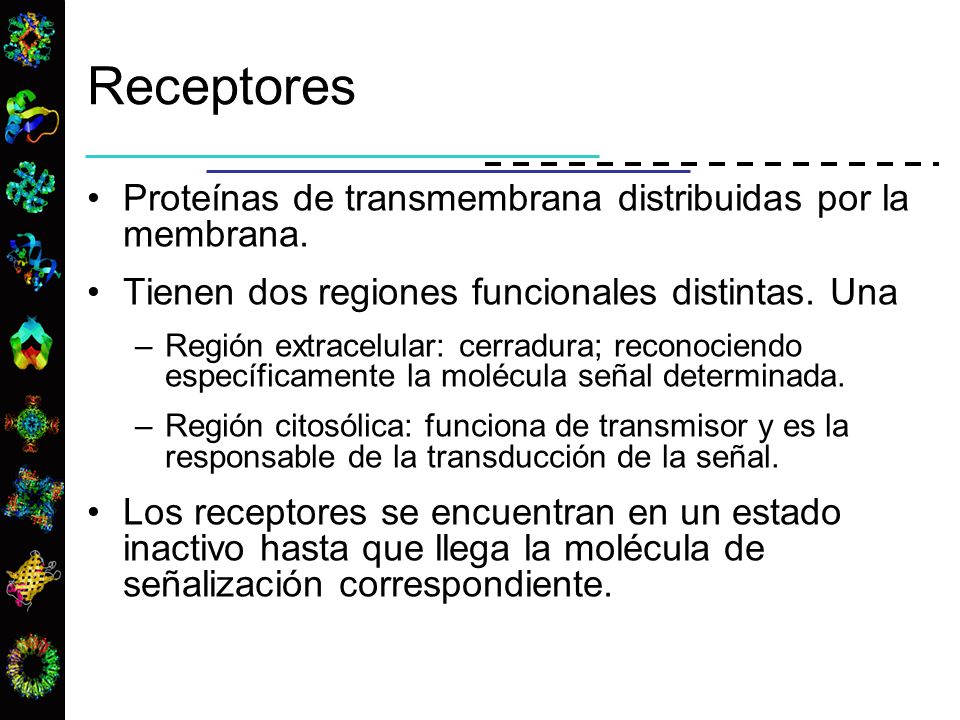 Receptores Proteínas de transmembrana distribuidas por la membrana.