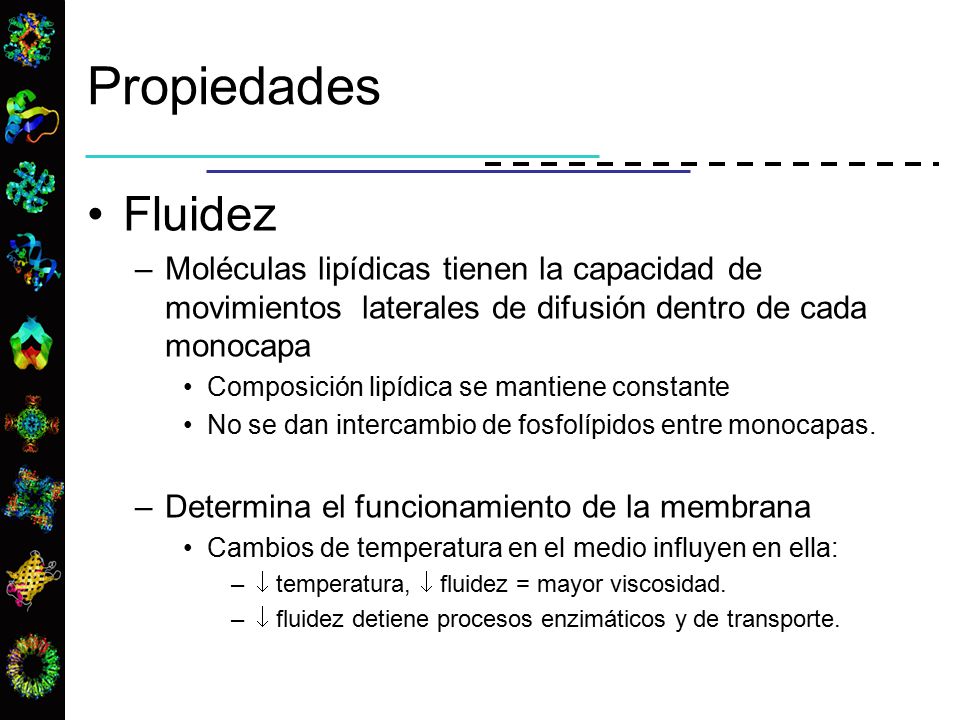 Propiedades Fluidez. Moléculas lipídicas tienen la capacidad de movimientos laterales de difusión dentro de cada monocapa.