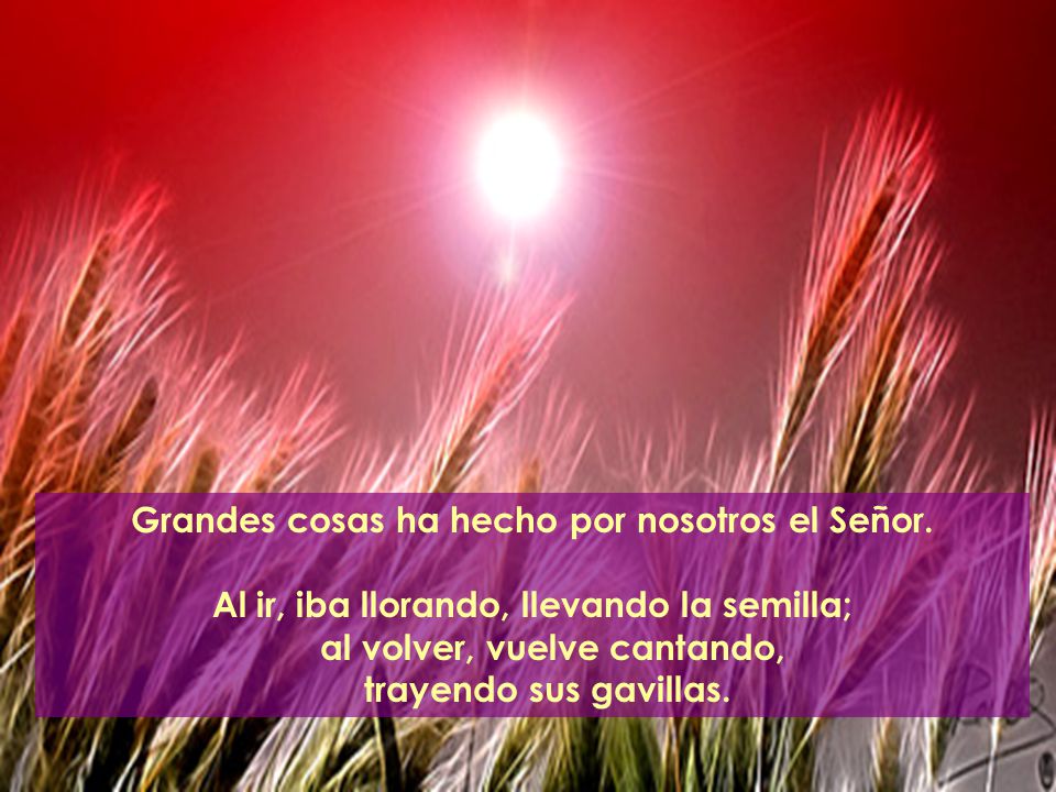 Grandes cosas ha hecho por nosotros el Señor.