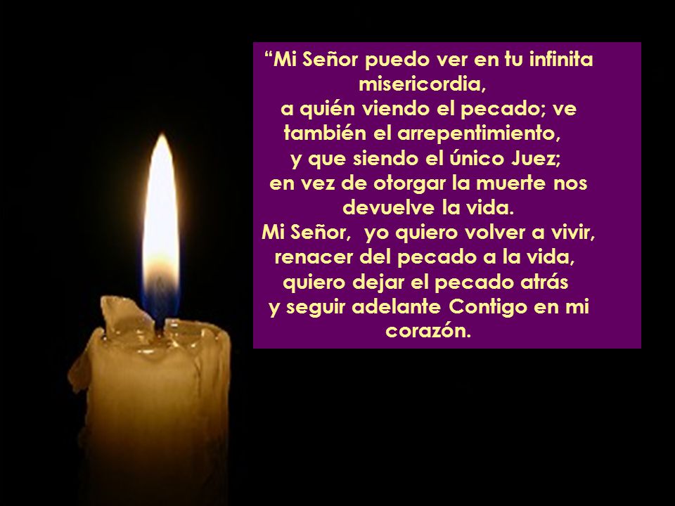 Mi Señor puedo ver en tu infinita misericordia,