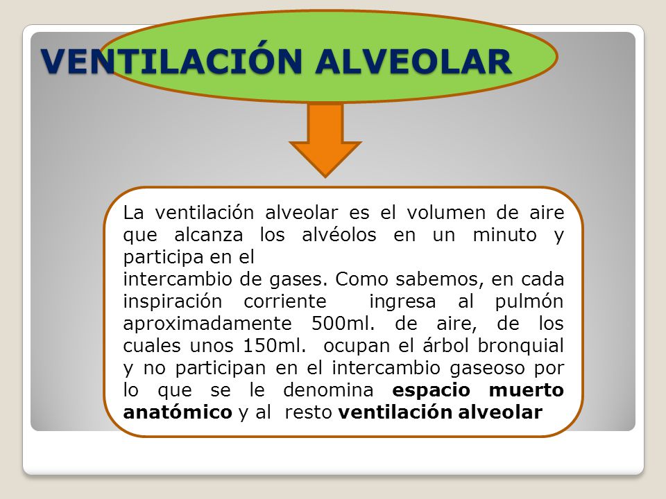 VENTILACIÓN ALVEOLAR La ventilación alveolar es el volumen de aire que alcanza los alvéolos en un minuto y participa en el.