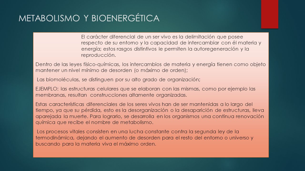 METABOLISMO Y BIOENERGÉTICA