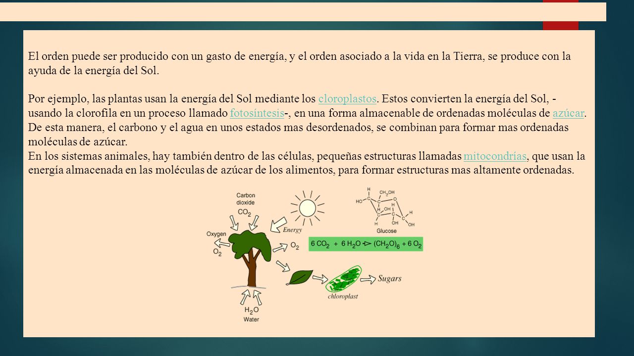 El orden puede ser producido con un gasto de energía, y el orden asociado a la vida en la Tierra, se produce con la ayuda de la energía del Sol.