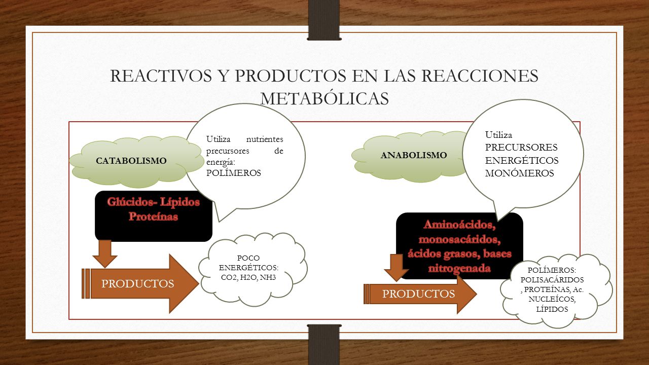 REACTIVOS Y PRODUCTOS EN LAS REACCIONES METABÓLICAS