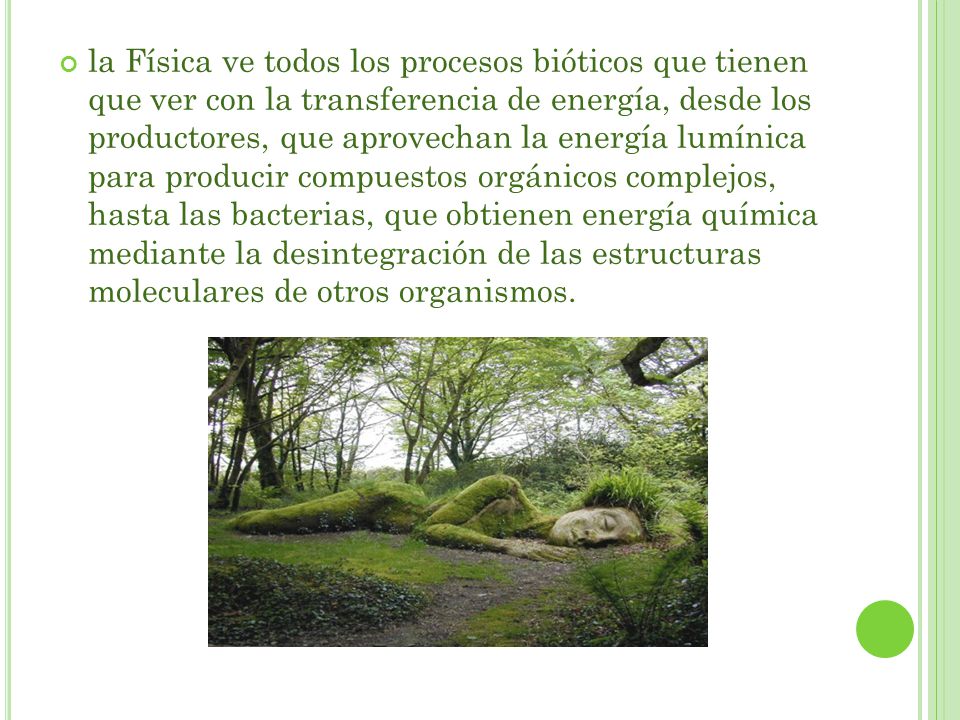 la Física ve todos los procesos bióticos que tienen que ver con la transferencia de energía, desde los productores, que aprovechan la energía lumínica para producir compuestos orgánicos complejos, hasta las bacterias, que obtienen energía química mediante la desintegración de las estructuras moleculares de otros organismos.
