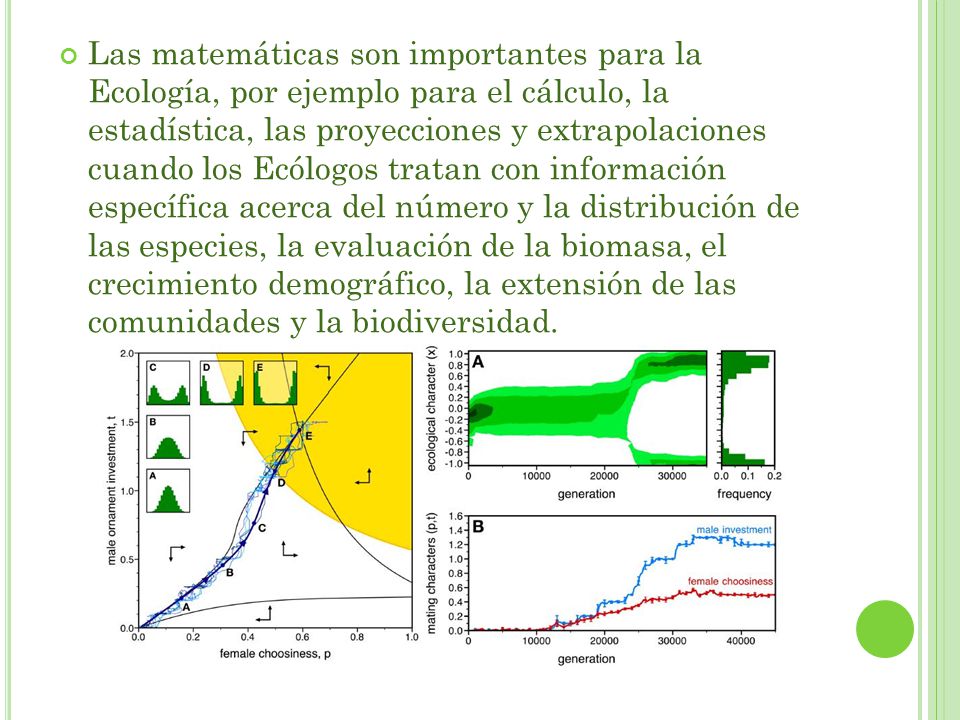 Las matemáticas son importantes para la Ecología, por ejemplo para el cálculo, la estadística, las proyecciones y extrapolaciones cuando los Ecólogos tratan con información específica acerca del número y la distribución de las especies, la evaluación de la biomasa, el crecimiento demográfico, la extensión de las comunidades y la biodiversidad.