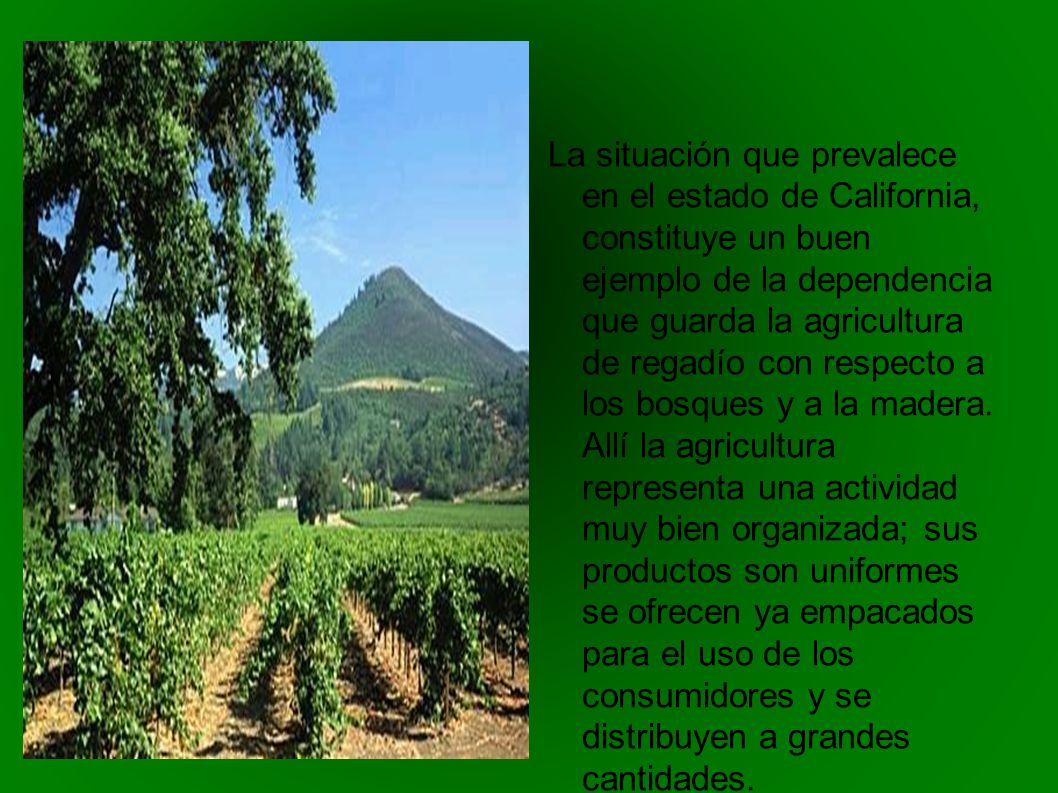 La situación que prevalece en el estado de California, constituye un buen ejemplo de la dependencia que guarda la agricultura de regadío con respecto a los bosques y a la madera.