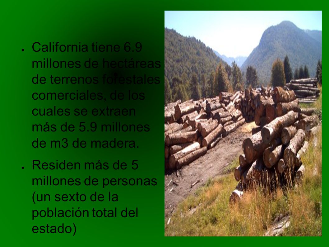 California tiene 6.9 millones de hectáreas de terrenos forestales comerciales, de los cuales se extraen más de 5.9 millones de m3 de madera.