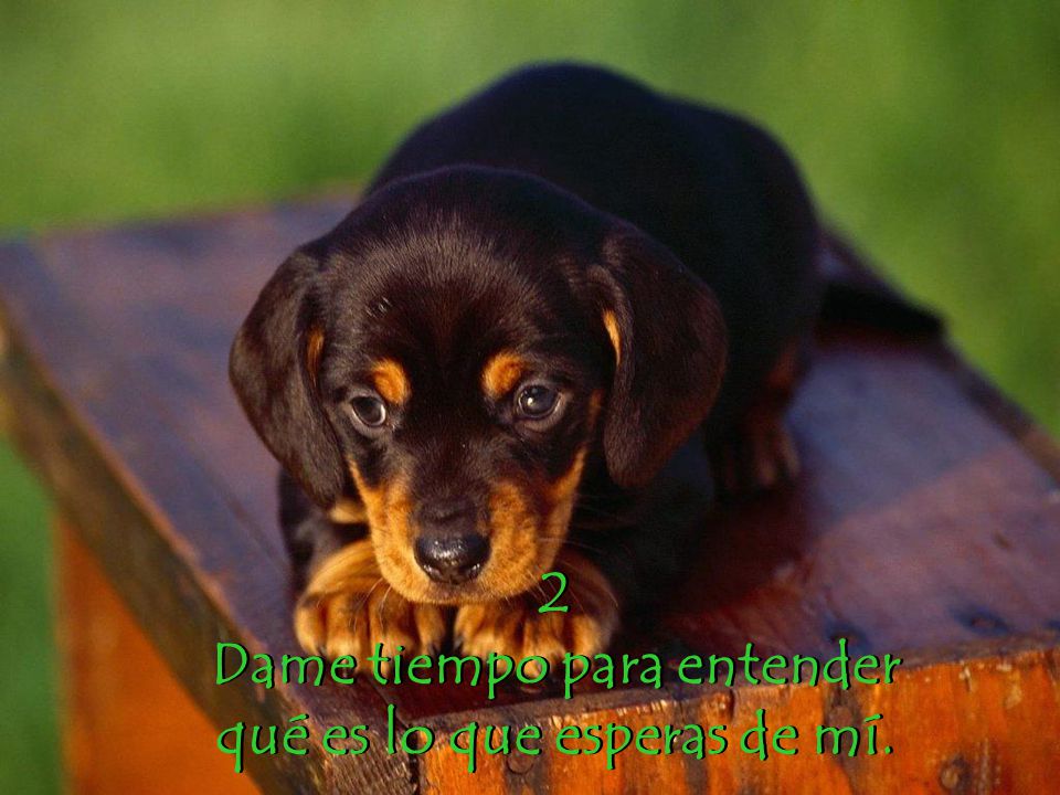 Dame tiempo para entender qué es lo que esperas de mí.