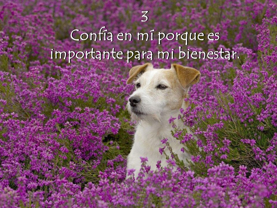 Confía en mí porque es importante para mi bienestar.