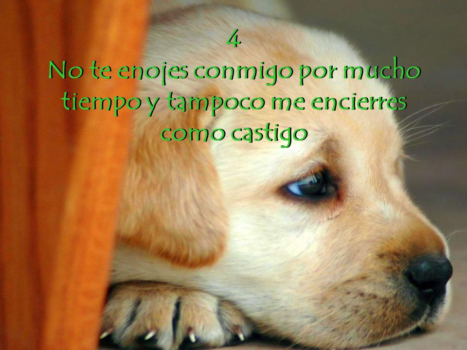 4 No te enojes conmigo por mucho tiempo y tampoco me encierres como castigo