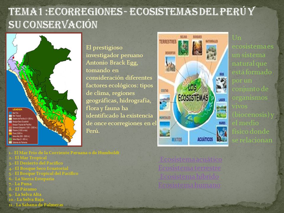 TEMA1 :ECORREGIONES - ECOSISTEMAS DEL PERÚ Y SU CONSERVACIÓN