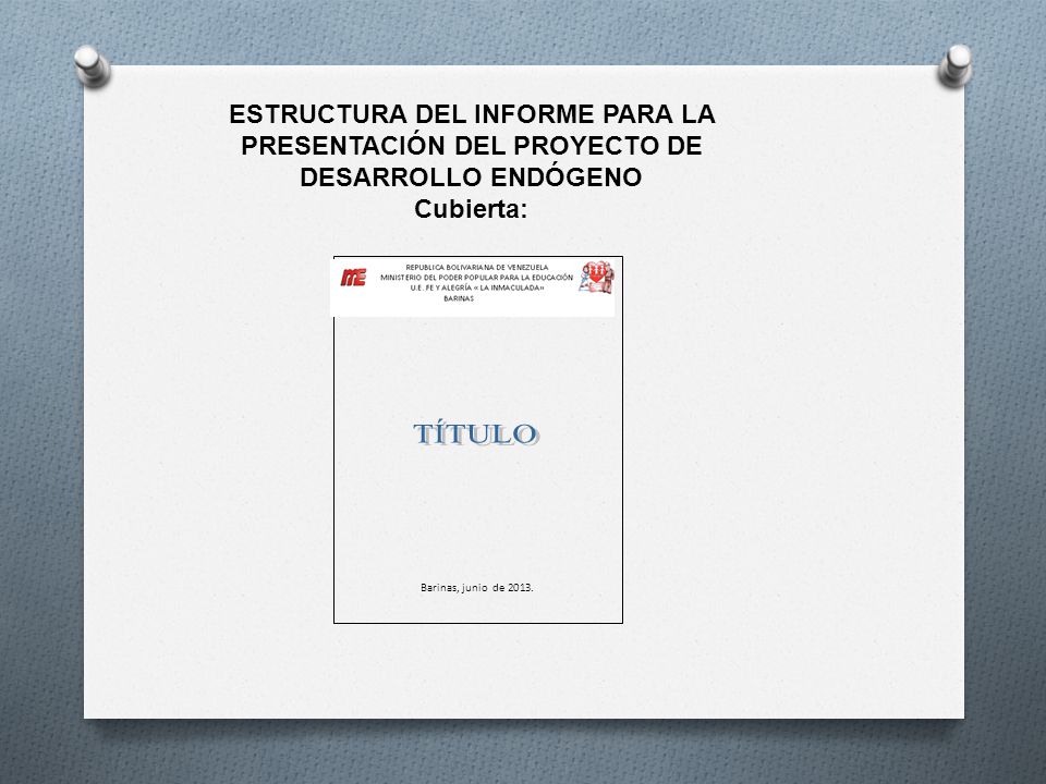 ESTRUCTURA DEL INFORME PARA LA PRESENTACIÓN DEL PROYECTO DE DESARROLLO ENDÓGENO