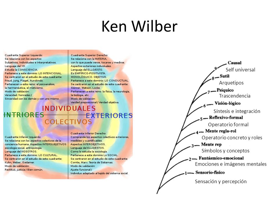 Ken Wilber Self universal Arquetipos Trascendencia