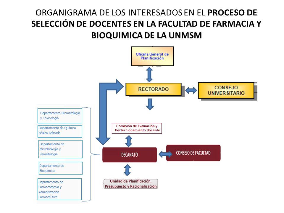 ORGANIGRAMA DE LOS INTERESADOS EN EL PROCESO DE SELECCIÓN DE DOCENTES EN LA FACULTAD DE FARMACIA Y BIOQUIMICA DE LA UNMSM