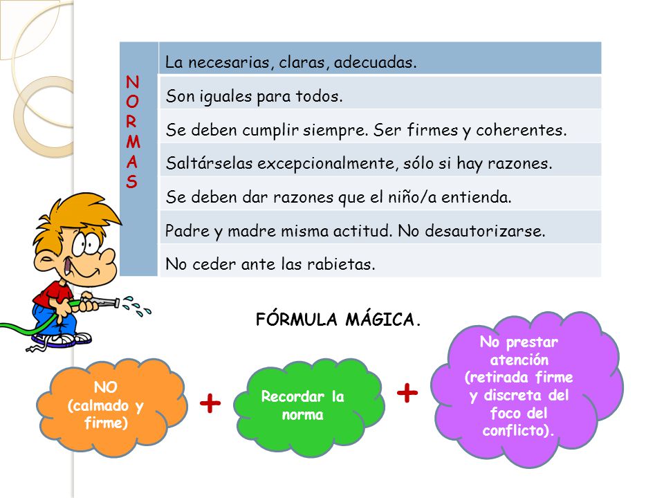 + + La necesarias, claras, adecuadas. N Son iguales para todos. O R