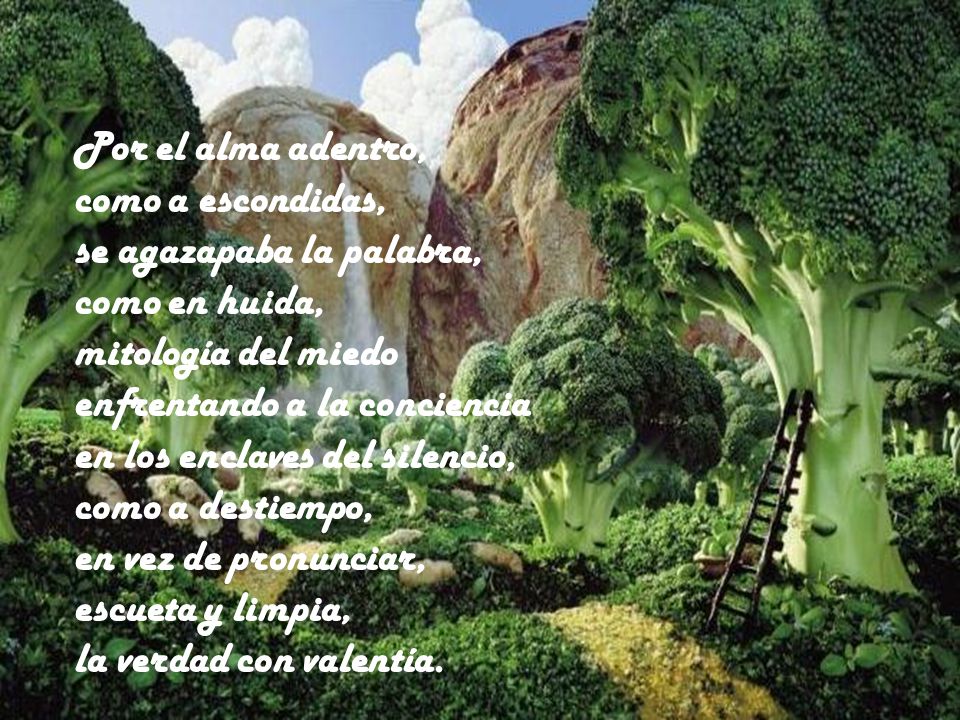 Por el alma adentro, como a escondidas, se agazapaba la palabra, como en huida, mitología del miedo.