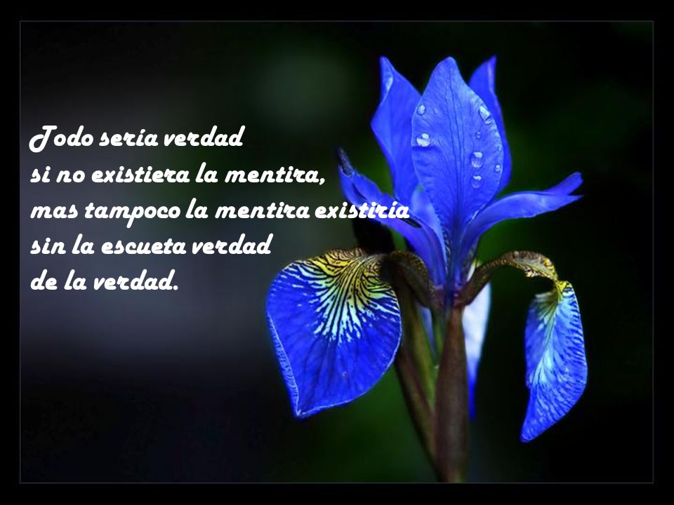 Todo sería verdad si no existiera la mentira, mas tampoco la mentira existiría. sin la escueta verdad.