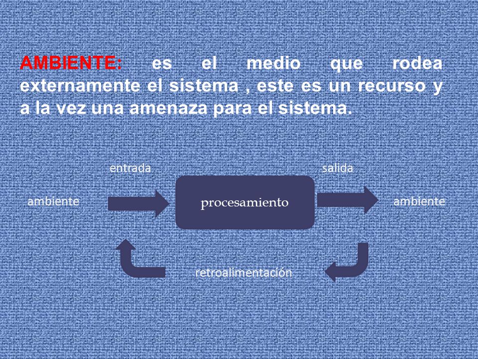 AMBIENTE: es el medio que rodea externamente el sistema , este es un recurso y a la vez una amenaza para el sistema.