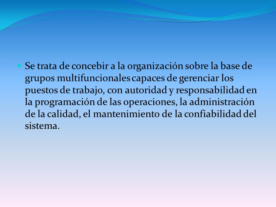 Se trata de concebir a la organización sobre la base de grupos multifuncionales capaces de gerenciar los puestos de trabajo, con autoridad y responsabilidad en la programación de las operaciones, la administración de la calidad, el mantenimiento de la confiabilidad del sistema.