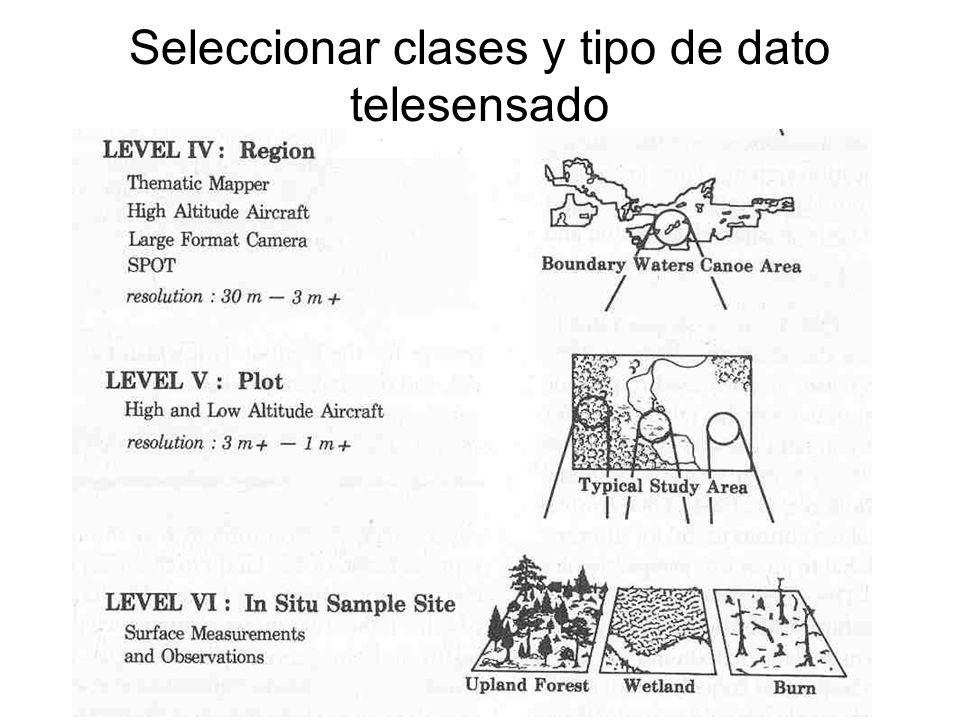 Seleccionar clases y tipo de dato telesensado