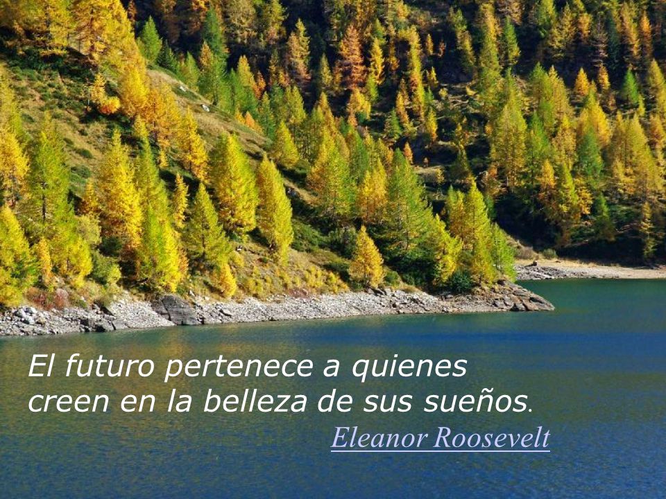 El futuro pertenece a quienes creen en la belleza de sus sueños.