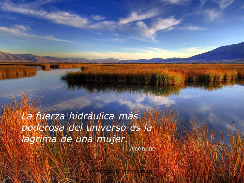 La fuerza hidráulica más poderosa del universo es la lágrima de una mujer.