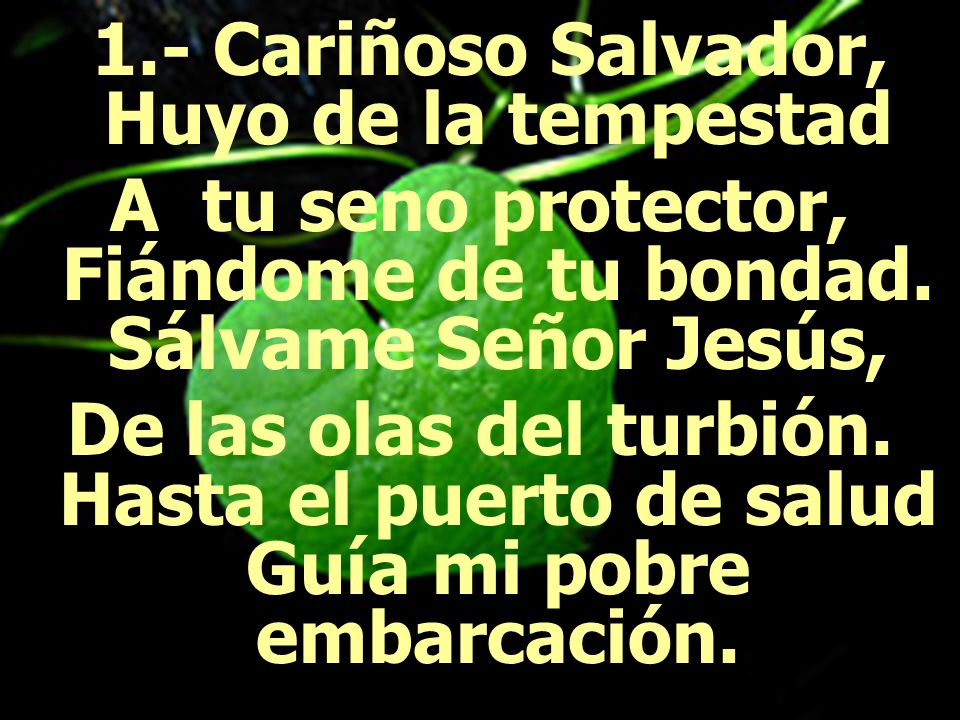 1.- Cariñoso Salvador, Huyo de la tempestad