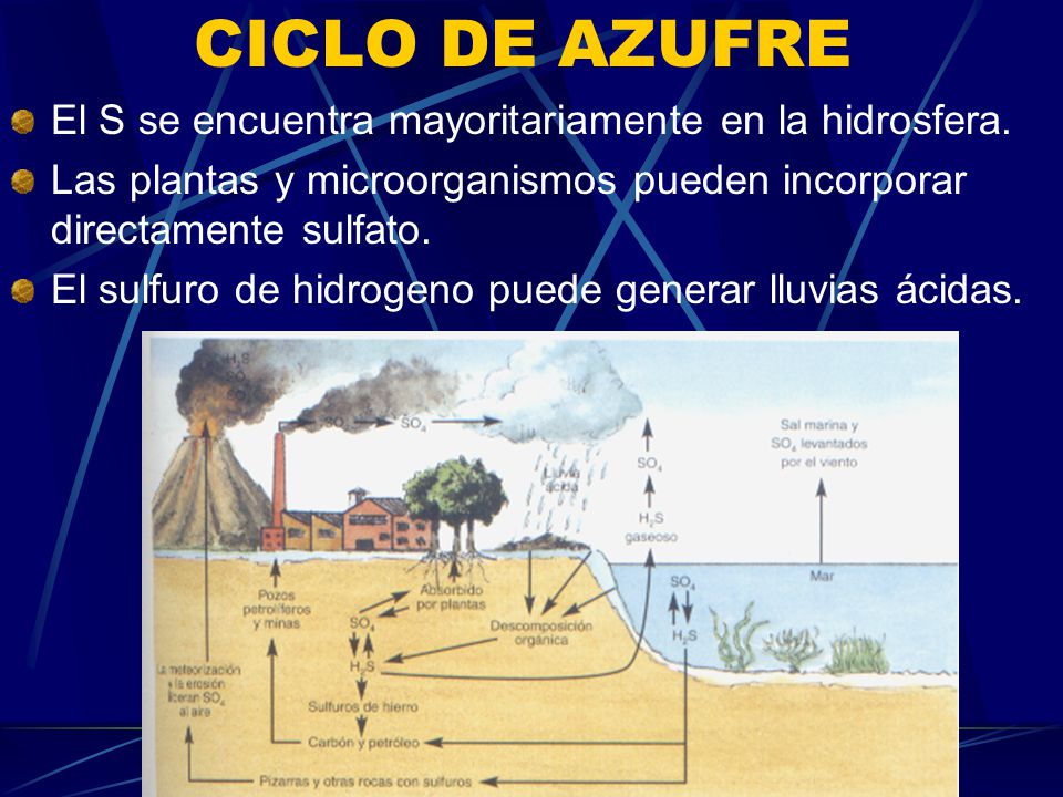 CICLO DE AZUFRE El S se encuentra mayoritariamente en la hidrosfera.