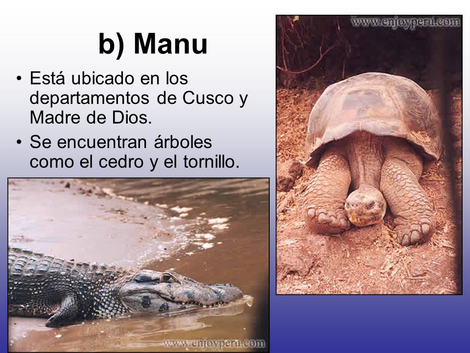 b) Manu Está ubicado en los departamentos de Cusco y Madre de Dios.