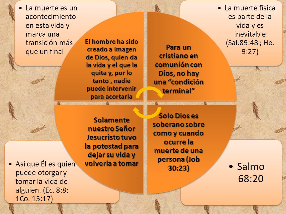 El hombre ha sido creado a imagen de Dios, quien da la vida y el que la quita y, por lo tanto , nadie puede intervenir para acortarla