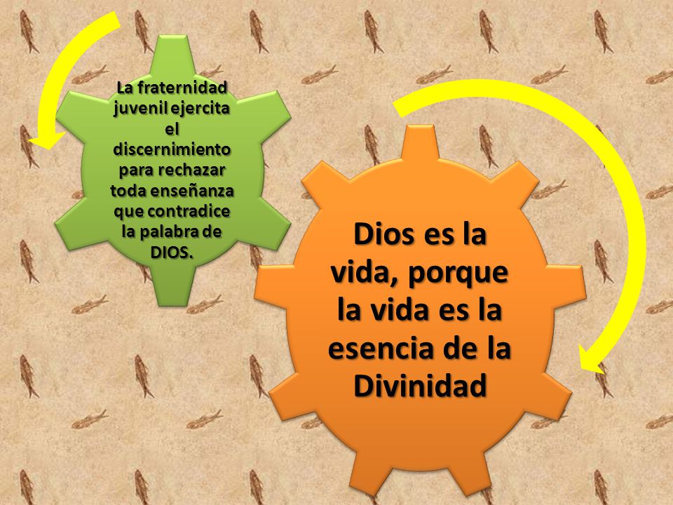 Dios es la vida, porque la vida es la esencia de la Divinidad