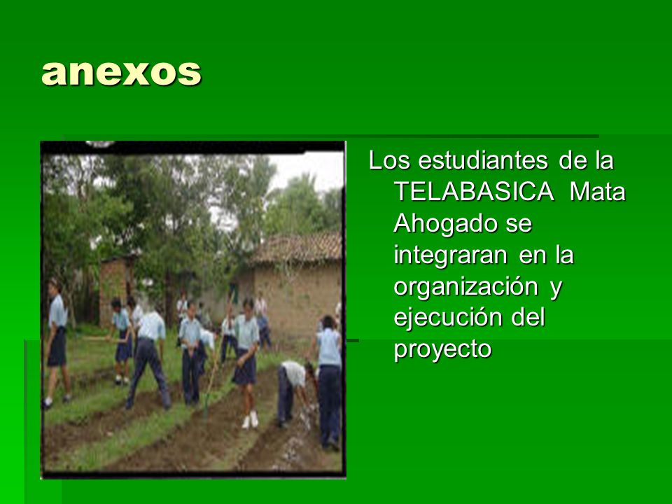 anexos Los estudiantes de la TELABASICA Mata Ahogado se integraran en la organización y ejecución del proyecto.