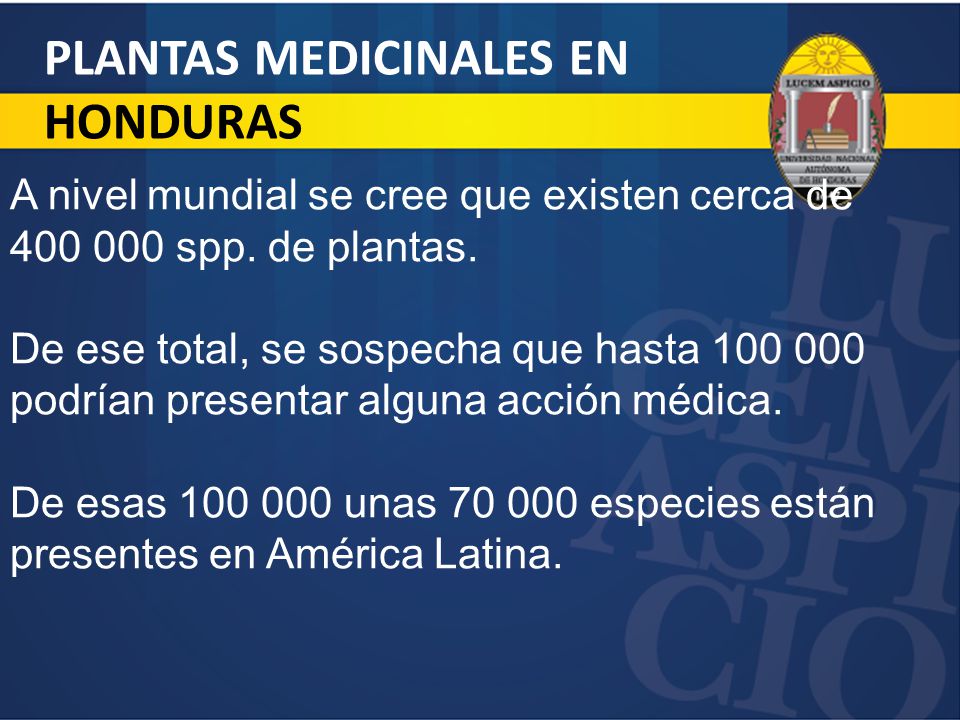 PLANTAS MEDICINALES EN HONDURAS