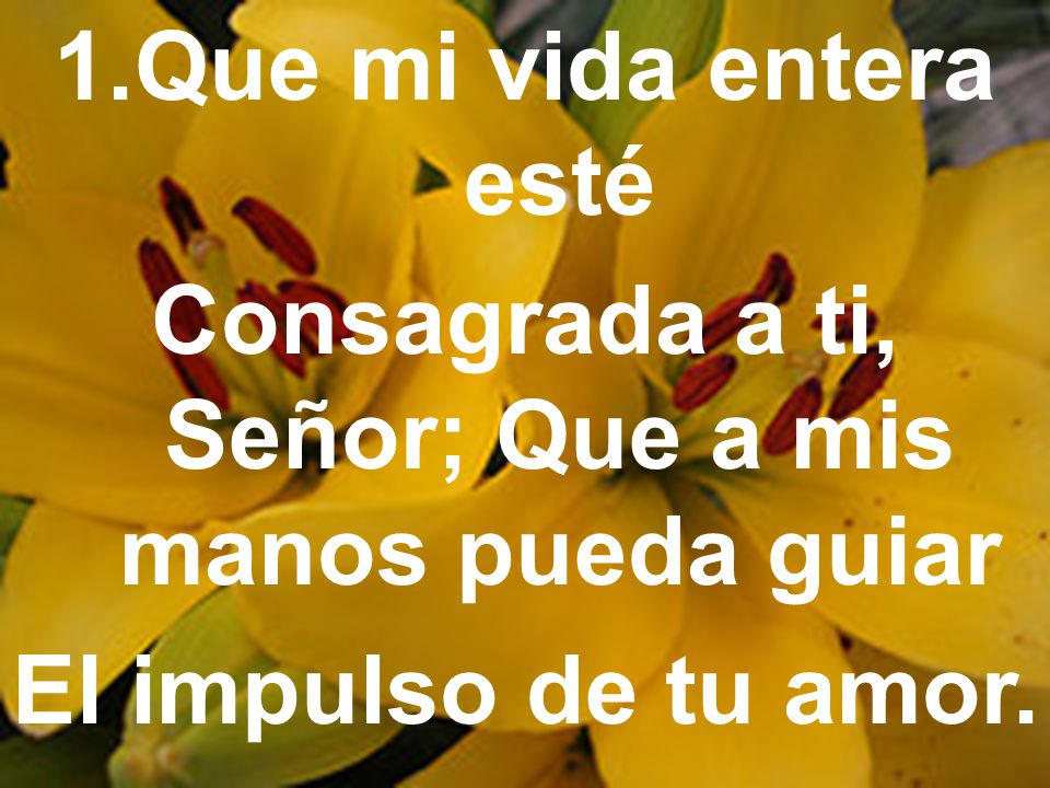 Consagrada a ti, Señor; Que a mis manos pueda guiar