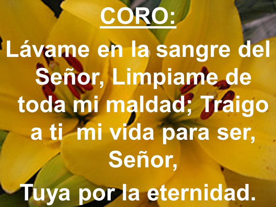 CORO: Lávame en la sangre del Señor, Limpiame de toda mi maldad; Traigo a ti mi vida para ser, Señor,