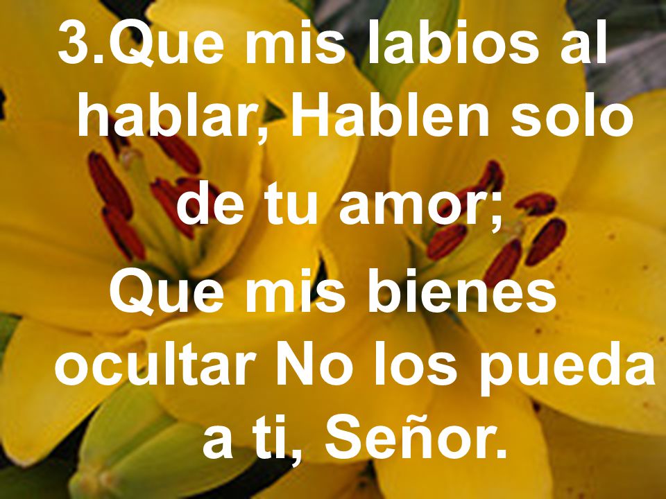 Que mis labios al hablar, Hablen solo de tu amor;