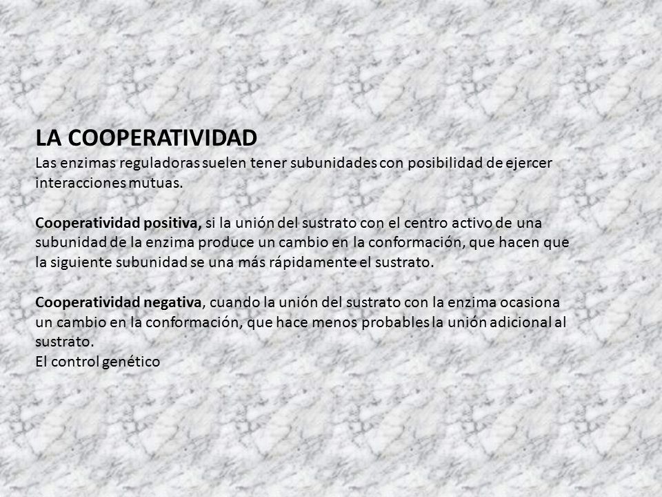 LA COOPERATIVIDAD Las enzimas reguladoras suelen tener subunidades con posibilidad de ejercer interacciones mutuas.