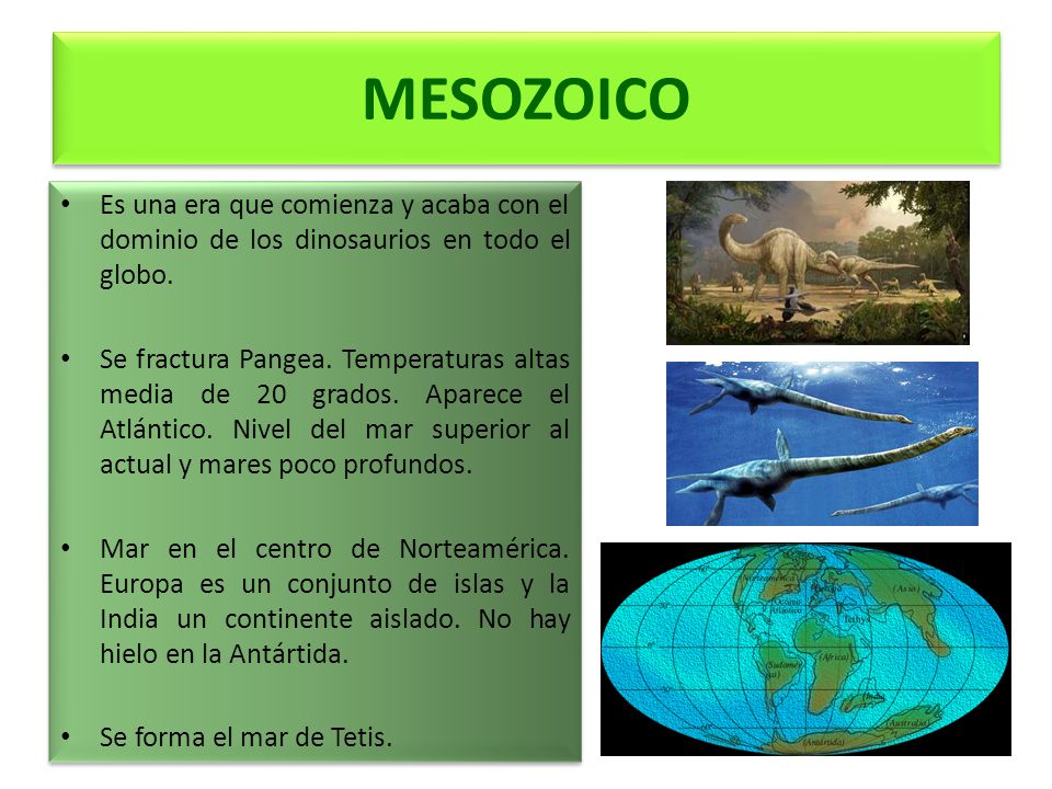 MESOZOICO Es una era que comienza y acaba con el dominio de los dinosaurios en todo el globo.