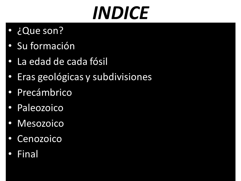 INDICE ¿Que son Su formación La edad de cada fósil