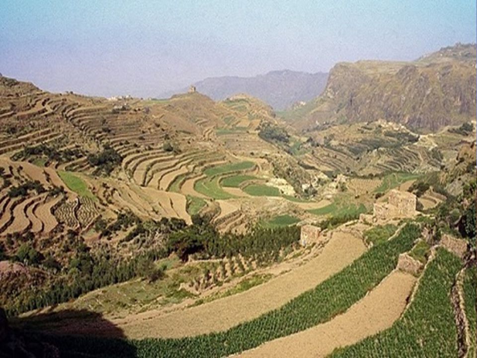Hajarah Fundada en el siglo XI , Al Hajjarah, se cuelga sobre un valle empinado donde abundan las terrazas de cultivo,