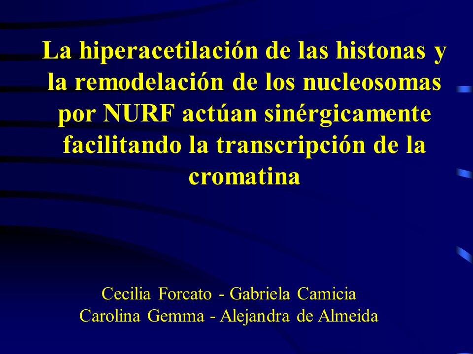 La hiperacetilación de las histonas y la remodelación de los nucleosomas por NURF actúan sinérgicamente facilitando la transcripción de la cromatina