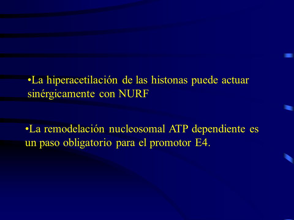 La hiperacetilación de las histonas puede actuar sinérgicamente con NURF