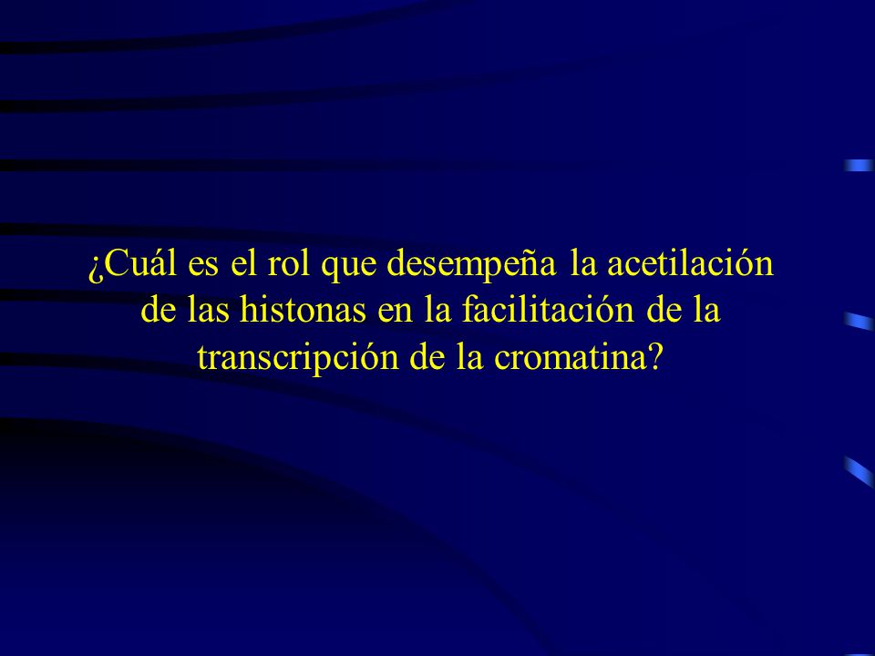 ¿Cuál es el rol que desempeña la acetilación de las histonas en la facilitación de la transcripción de la cromatina