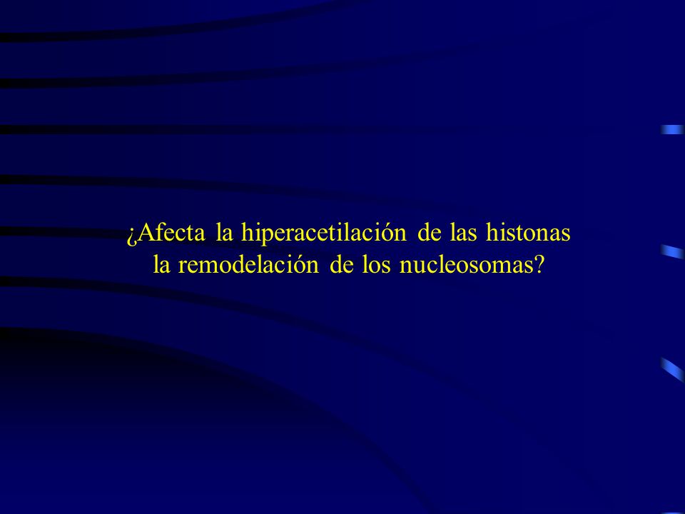 ¿Afecta la hiperacetilación de las histonas la remodelación de los nucleosomas