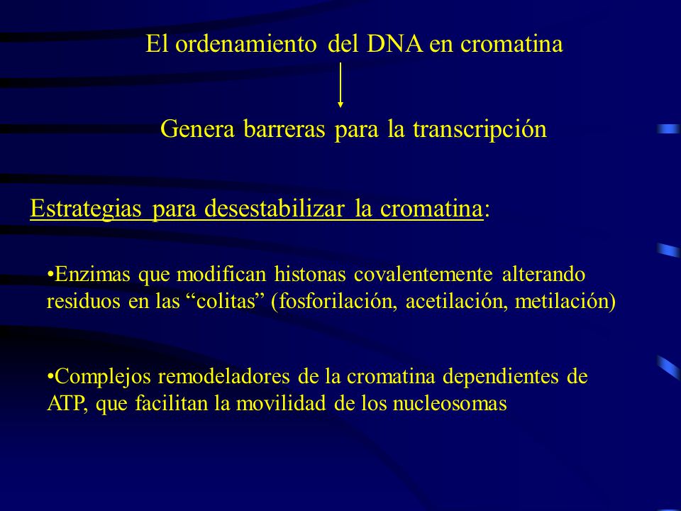 El ordenamiento del DNA en cromatina